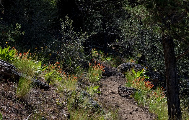 Trail 18-9327.jpg